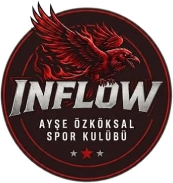 Inflow logo